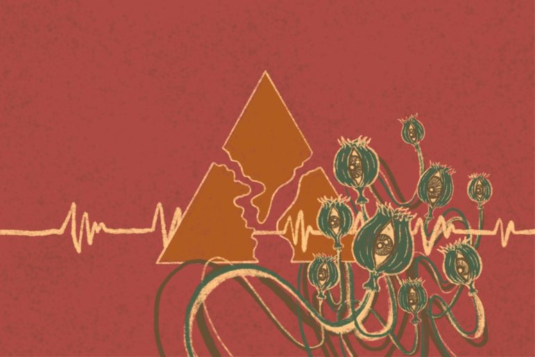 Organzied Crime Guide - Golden Triangle Introduction