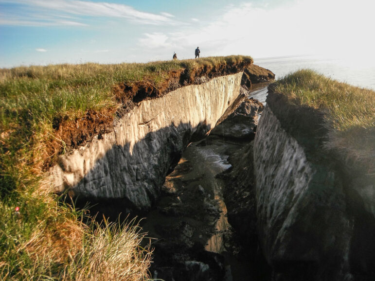 Coastal erosion reveals the extent of ice-rich permafrost underlying the active layer on the Arctic Coastal Plain in the Teshekpuk Lake Special Area of the National Petroleum Reserve in Alaska. Credit: Brandt Meixell, USGS