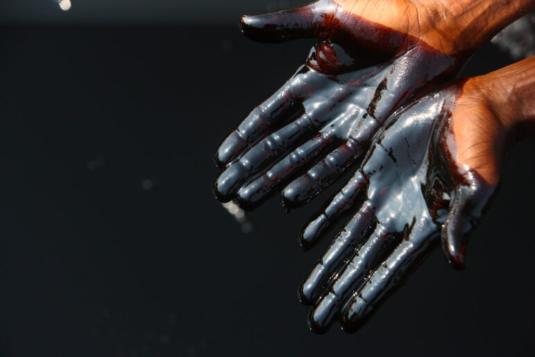 The aftereffects of an oil spill on a mangrove swamp in Africa's Niger delta.
